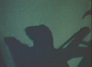 "Now," Dennis thought., "now I am ready for that shadow puppet competition!"