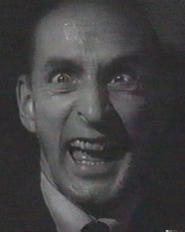 Hey... wanna hear 'La Vida Loca'?