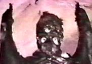Zontar, the Thing from Venus