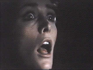 The Amityville Horror